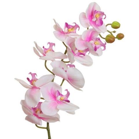 Orchidee Phalaenopsis 100 cm rosa