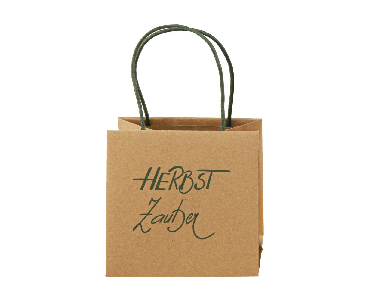 Pflanztasche Herbstzauber Papier natur/grün D12cm