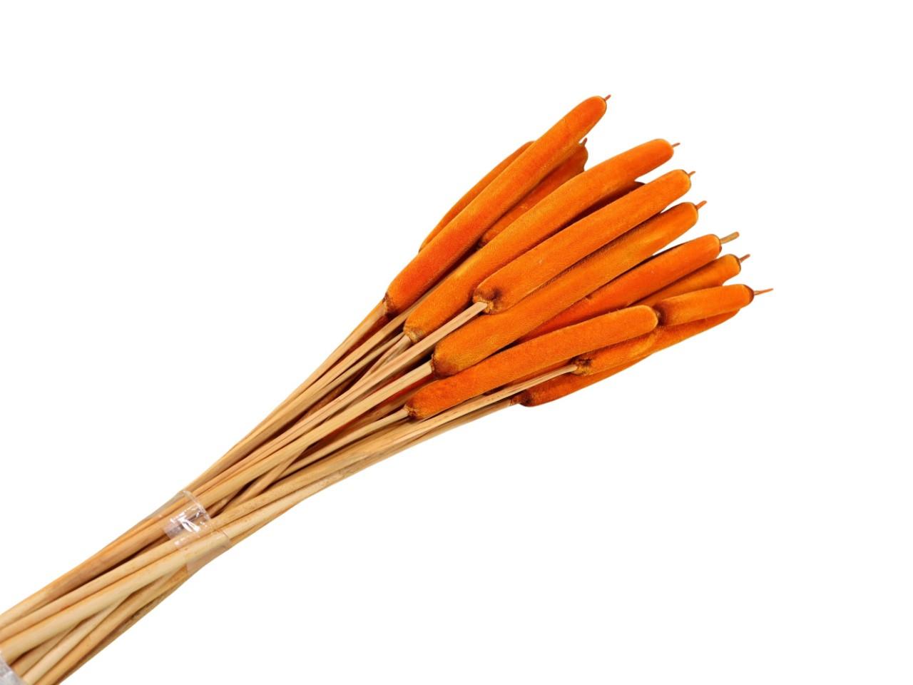 Schilfkolben groß D2,5-3H13-20L100cm geraspelt orange