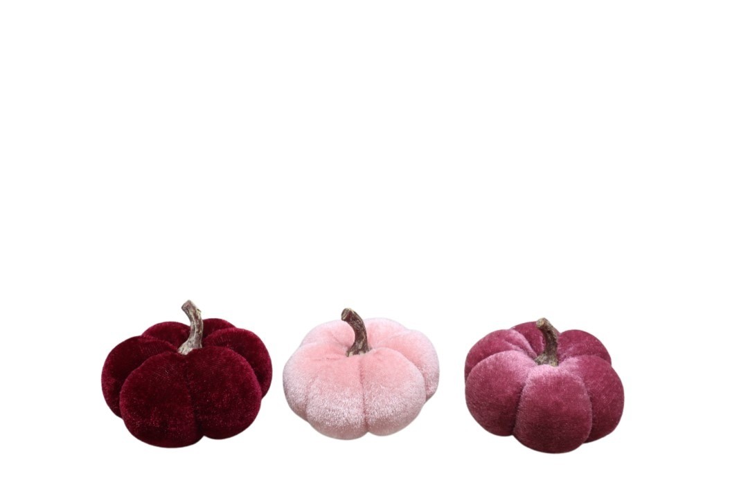 Kürbisse Samt pink/weinrot/rosa 8cm