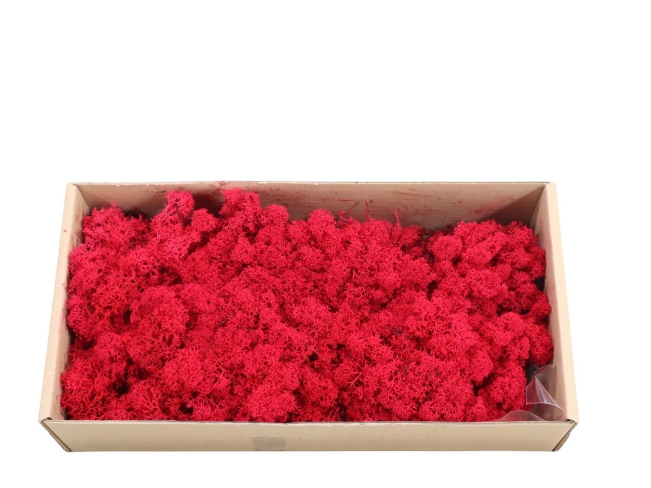 Islandmoos-Finland 500gr. rot