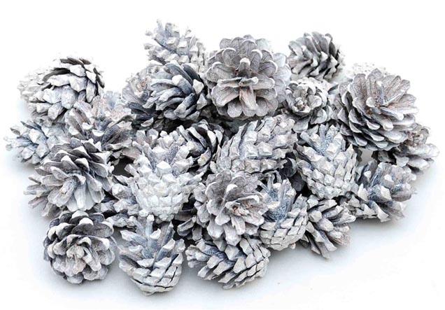Zapfen Kiefer Silvester B3-4H4-5cm ca.130 St. 1kg whitewa.