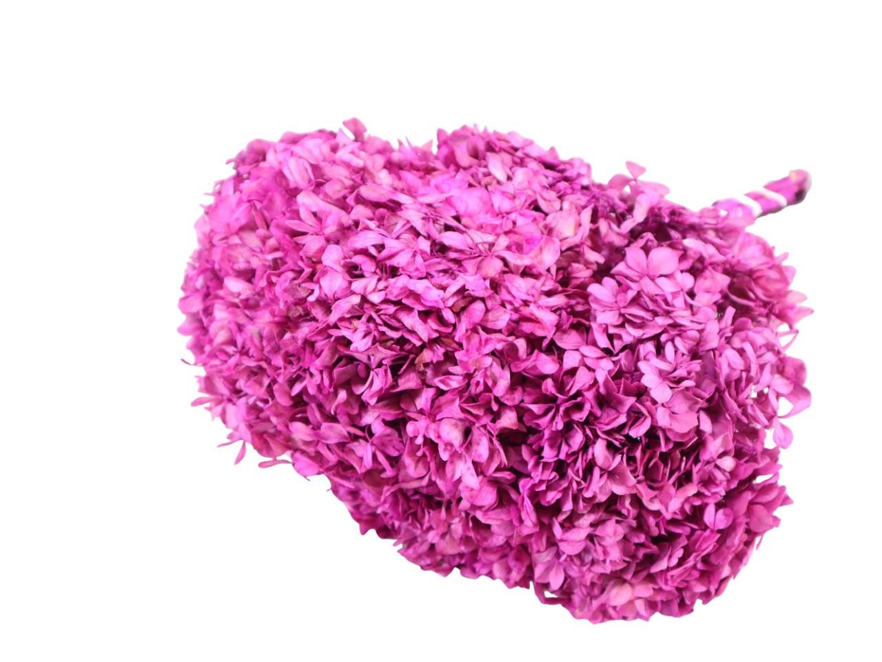 Hortensie getrocknet Länge ca. 50cm brombeer