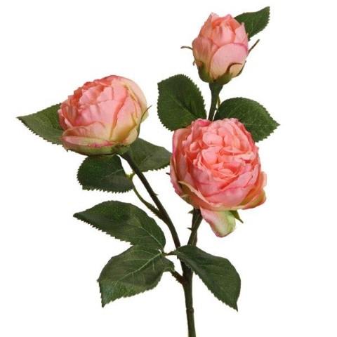 Rose Englisch 3 Blüten 41cm salmon
