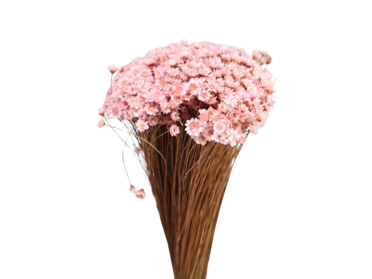 Glixia hell rosa 100gr.