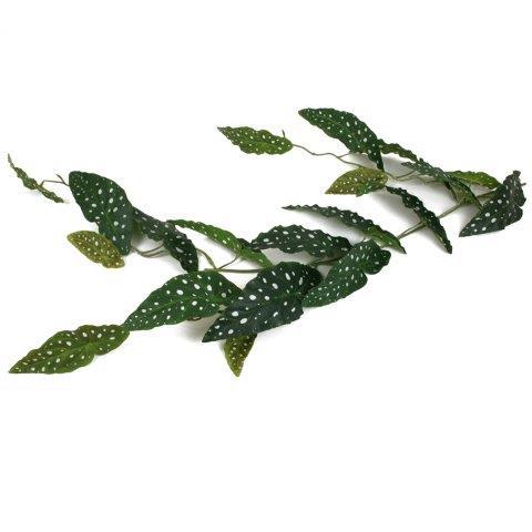 Forellenbegonie Girlande 122cm grün Forellenbegonie Girlande 122cm grün