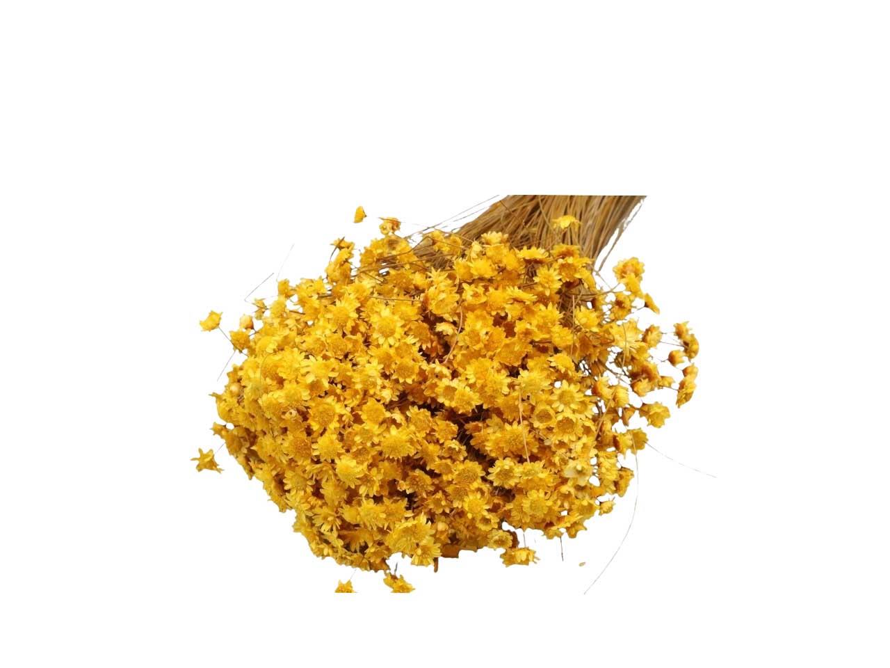 Glixia goldgelb 03 100gr.