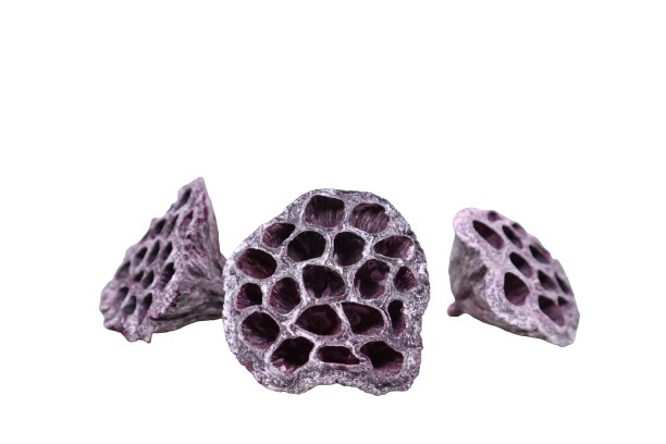 Lotos D6-8cm brombeer frosted