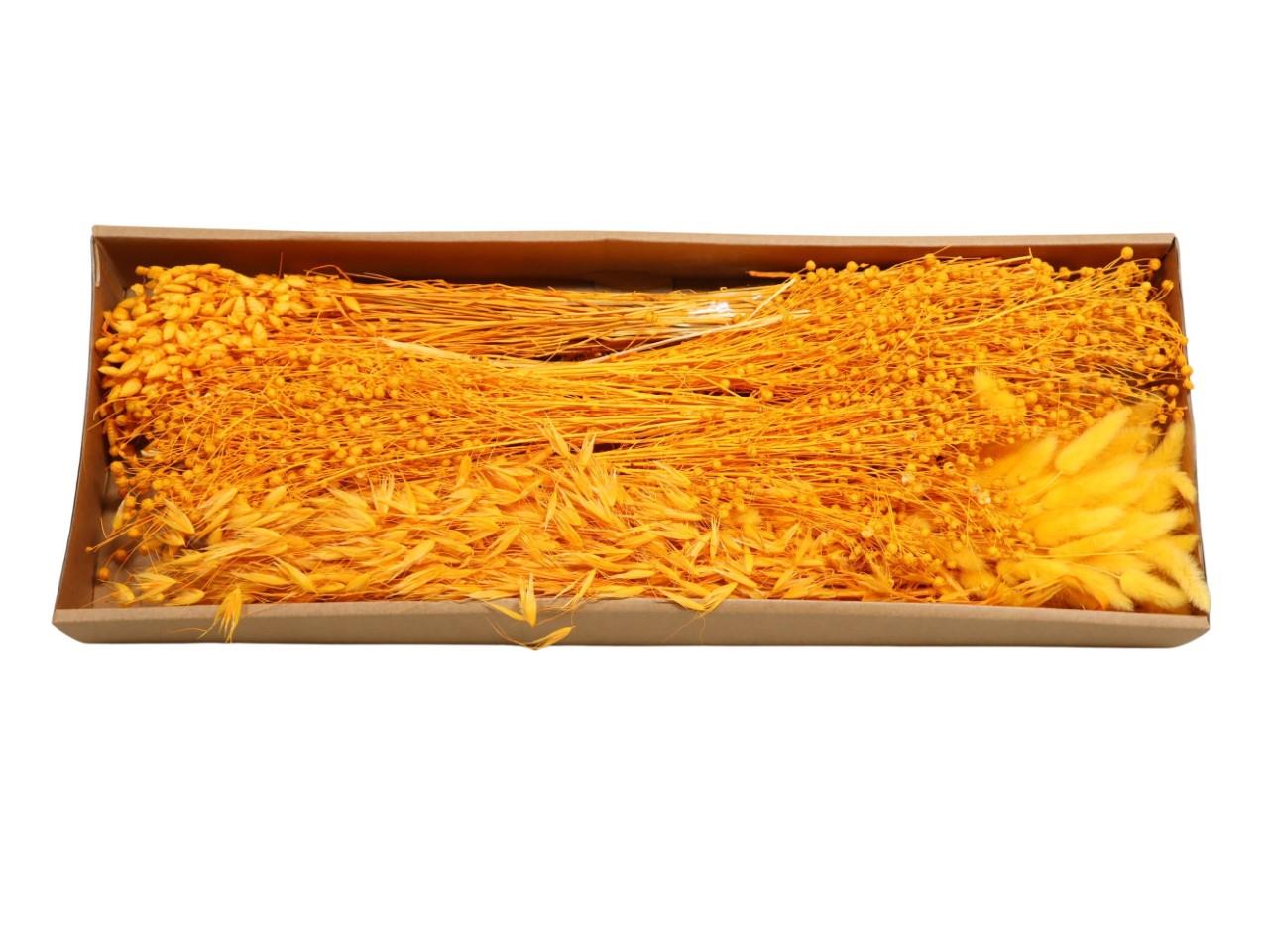 Gräser sort. 350 gr. goldgelb