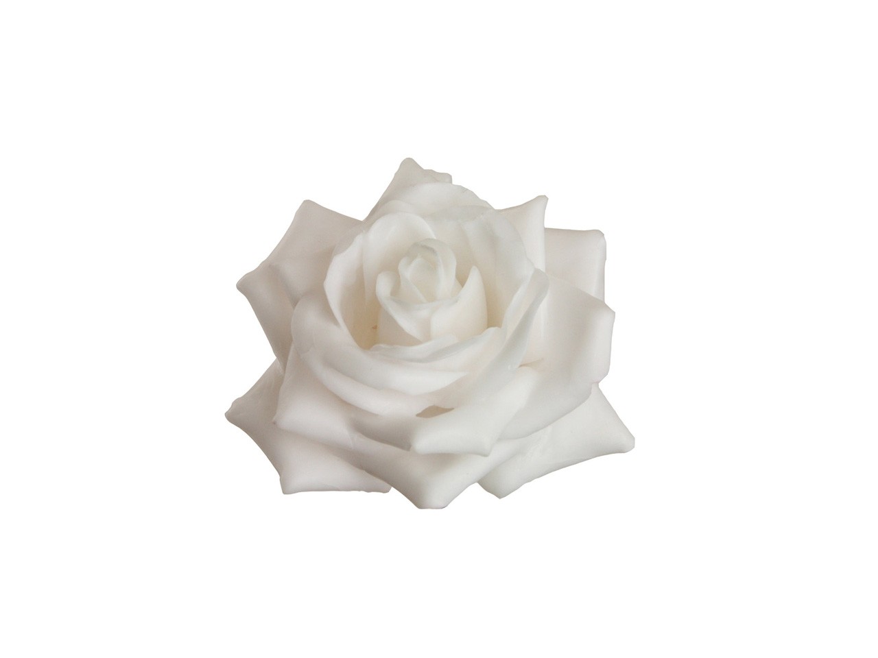 Rosenblüte Wachs 7cm weiss in Holzbox