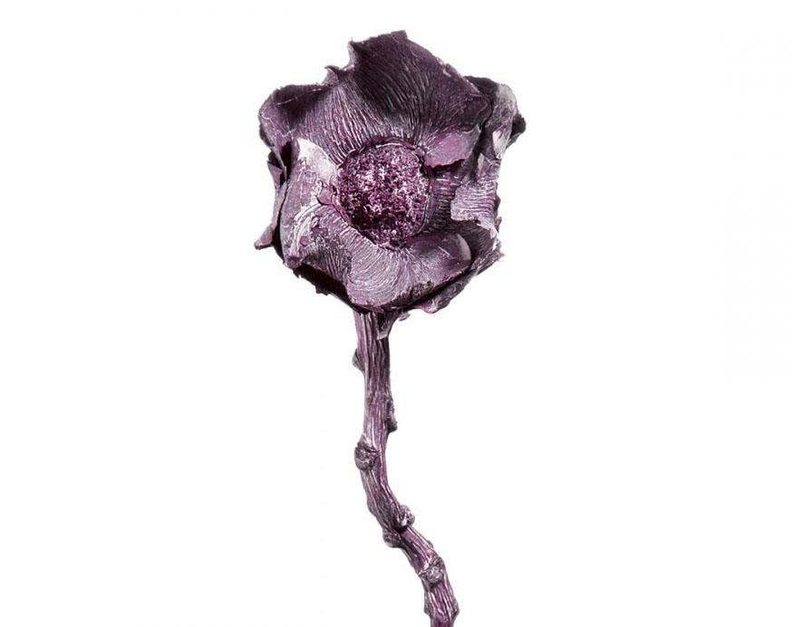 Coco Rose brombeer frosted NETTO