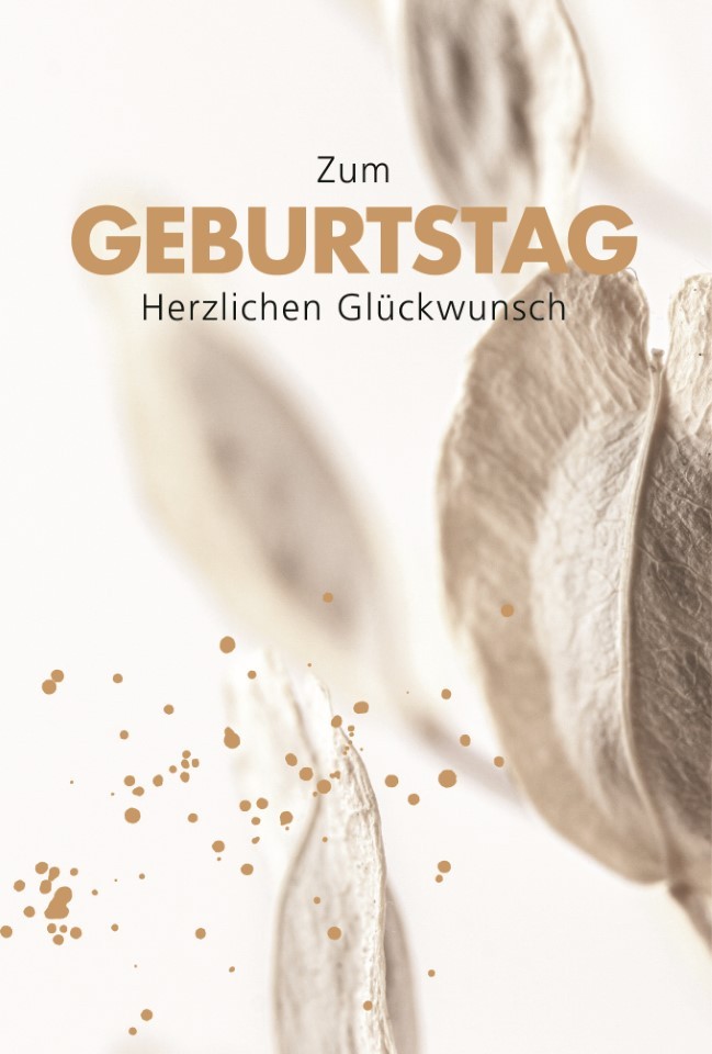 Glückwunschkarten Zum Geburtstag 11,5x17 cm