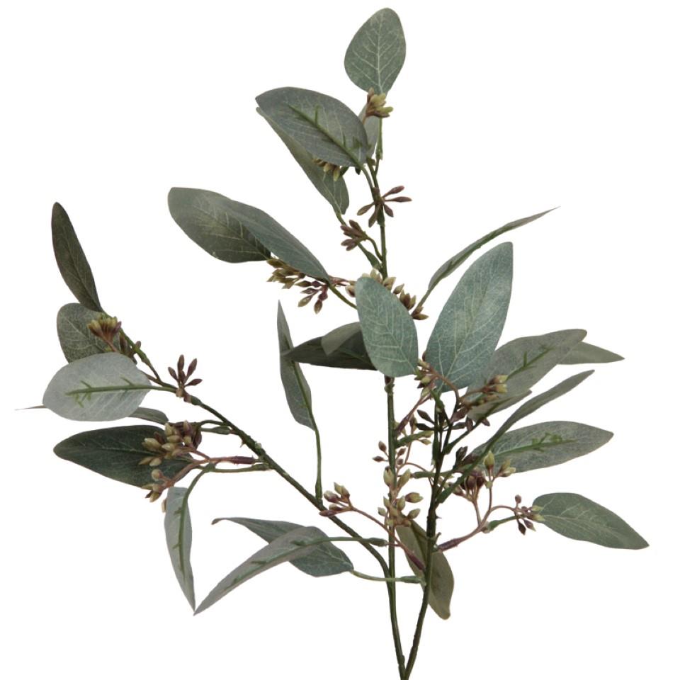 Eukalyptuszweig m. Blüten grün-grau L60cm Eukalyptuszweig m. Blüten grün-grau L60cm