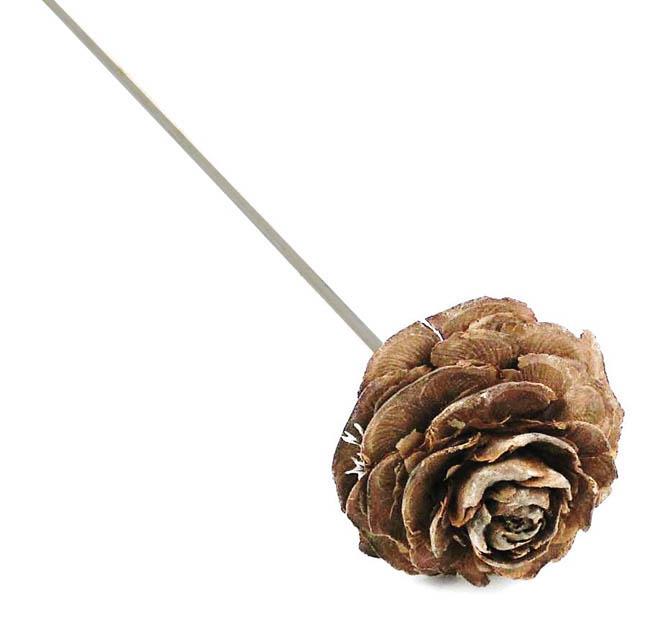 Cedernrose gestielt D4-6L35cm natur