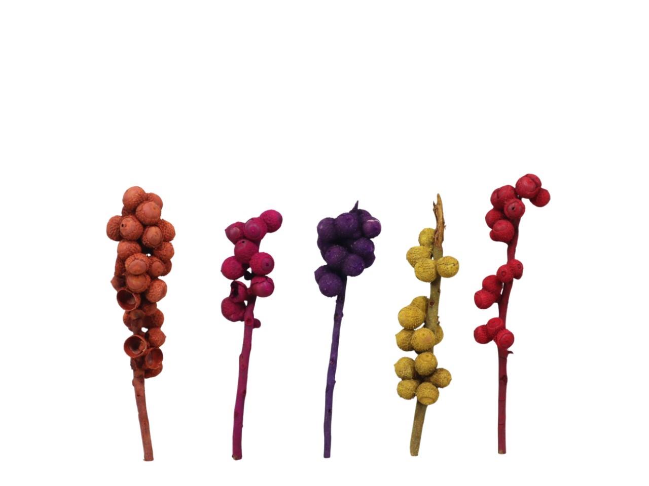 Acon am Naturstiel L13-20cm farbig sortiert