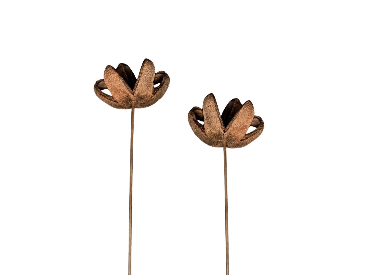 Bullet Blume gestielt D8H4L35cm natur