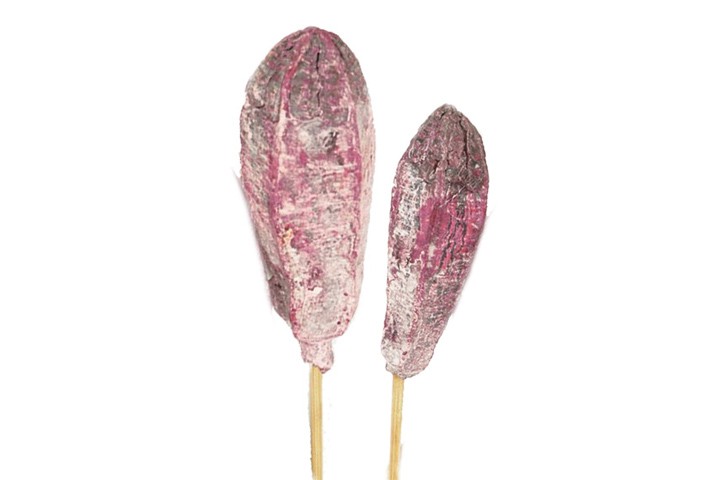 Mehoste gestielt  D4-5H11-14L45cm brombeer frosted