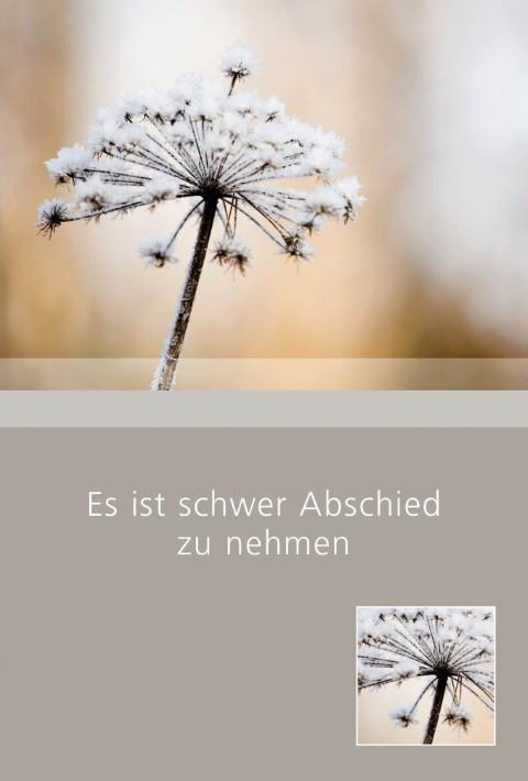 Trauerkarten Es ist schwer Abschied zu nehmen 11,5x17 cm Trauerkarten Es ist schwer Abschied zu nehmen 11,5x17 cm