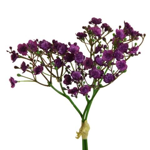 Gypso Bündchen x 3 purple 30cm