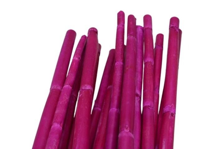 Canna Stiele 1Meter cyclame06 M