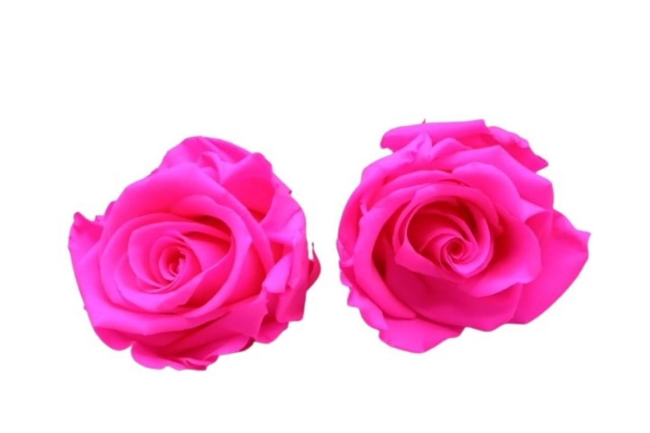 Rose stabilisiert H 5,5 cm D 5,5 cm bright pink NETTO
