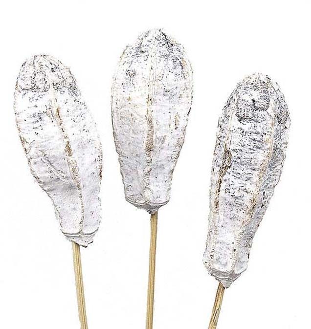 Mehoste gestielt white washed