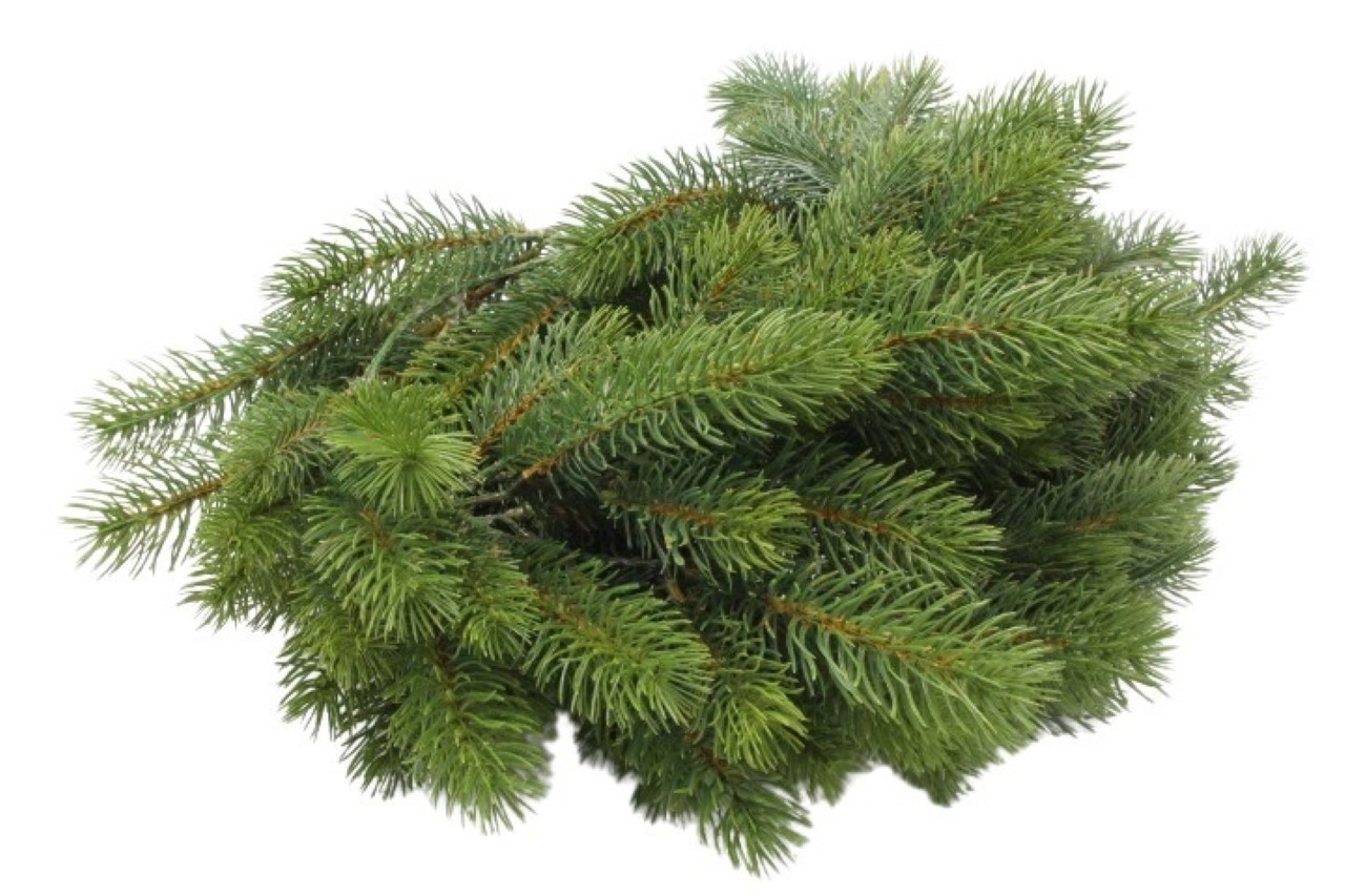 Tannengirlande x 168Spitzen, 180cm plastik grün