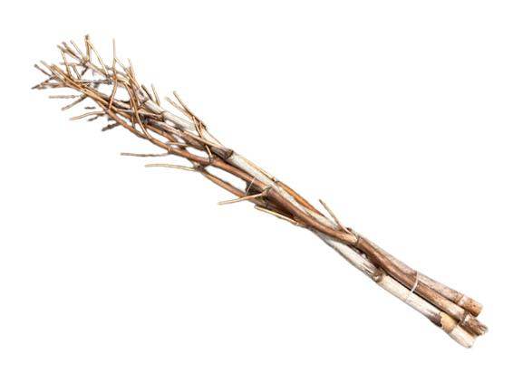 Fenchel m. Ästen natur 140-160cm