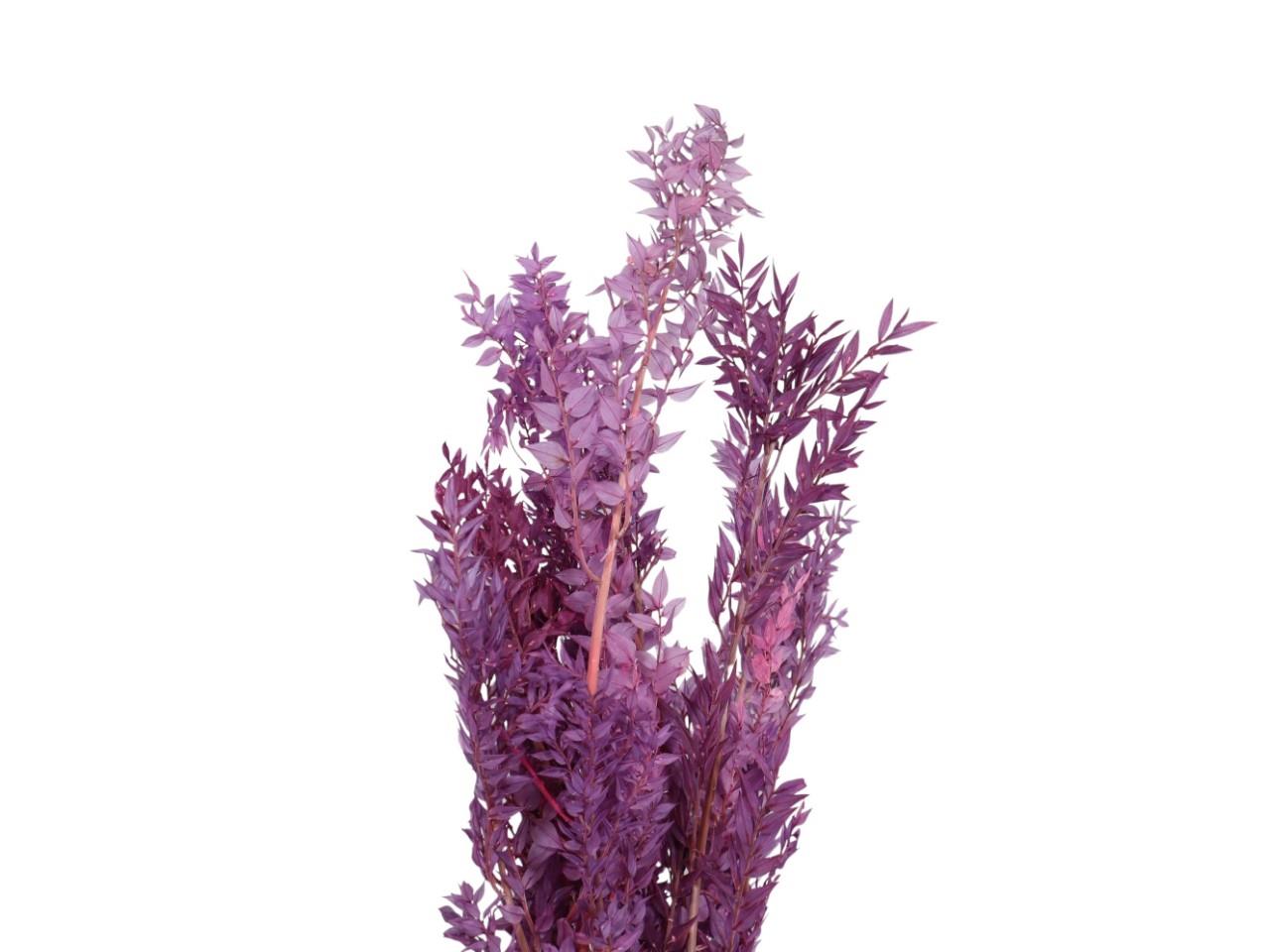 Ruskus 300gr. freesie 66/P