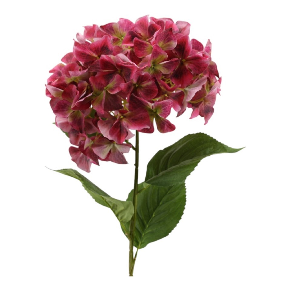 Hortensie XL burgund D30xH95cm