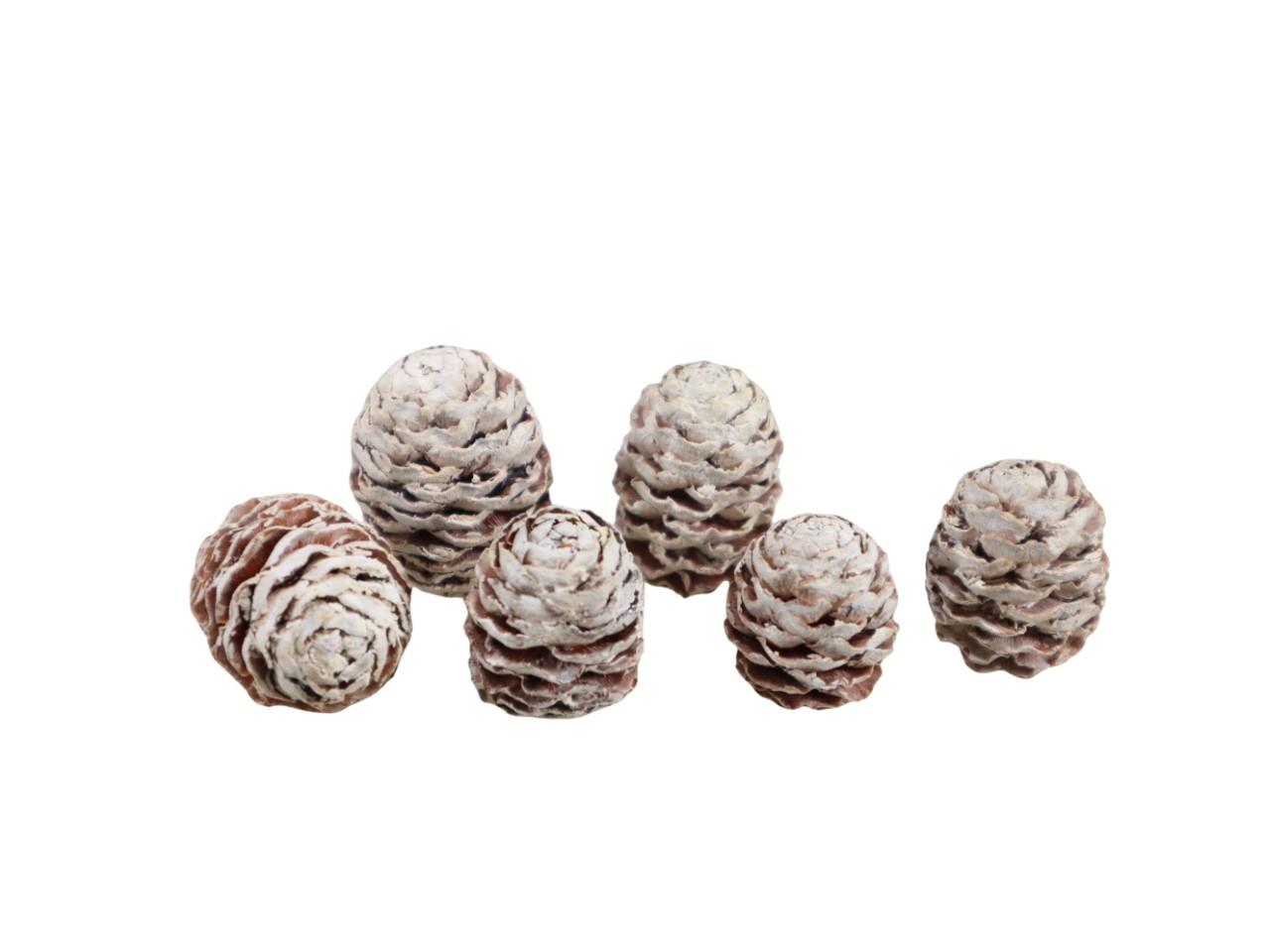 Zapfen Meridianum white washed 1kg