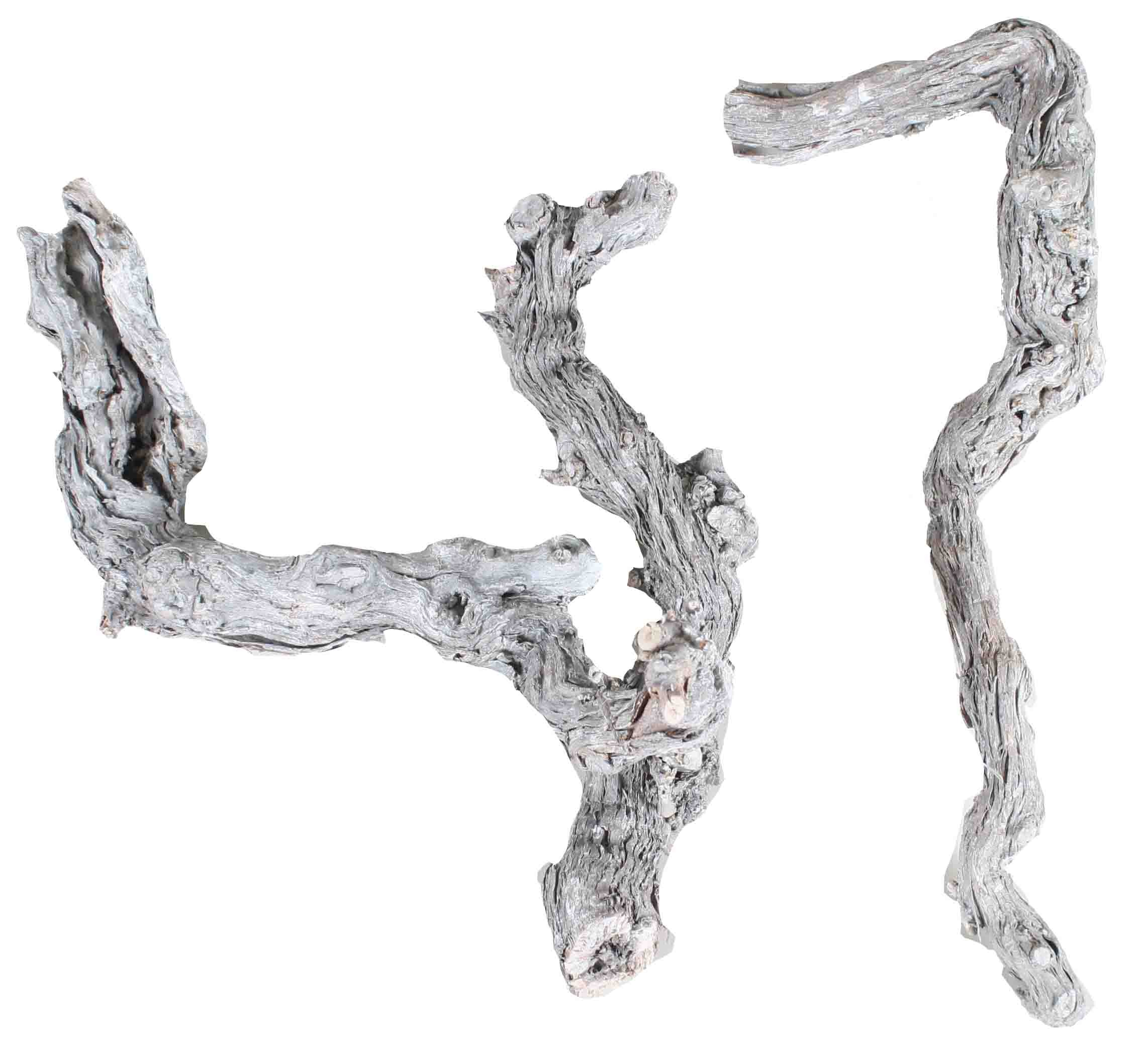 Weinrebenwurzel D3-6L25-35cm white washed