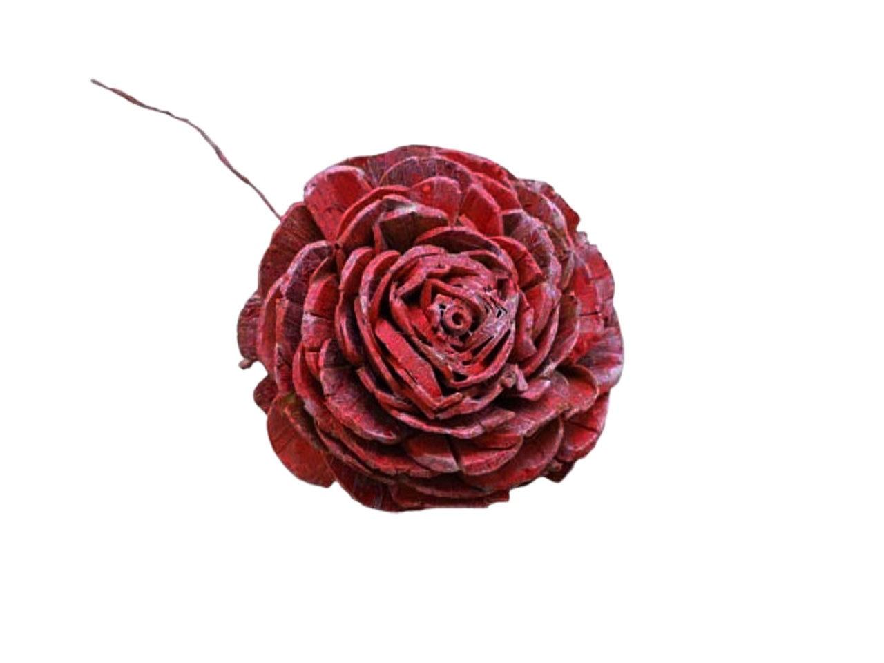 Rose Sola am Draht D8cm bordeaux