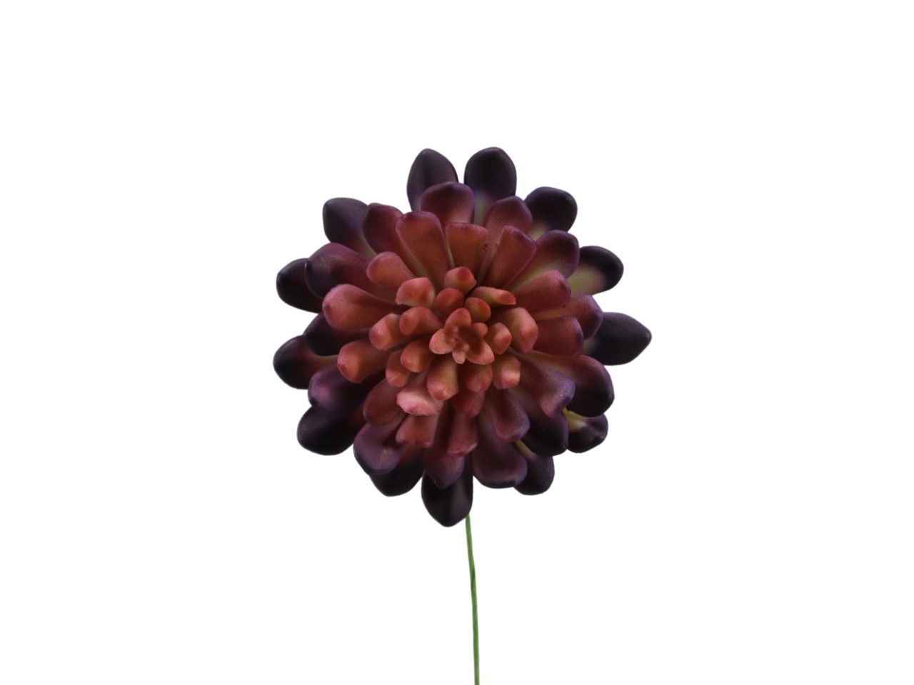 Sukkulente m. Drahtpick Kunststoff burgund D10 cm