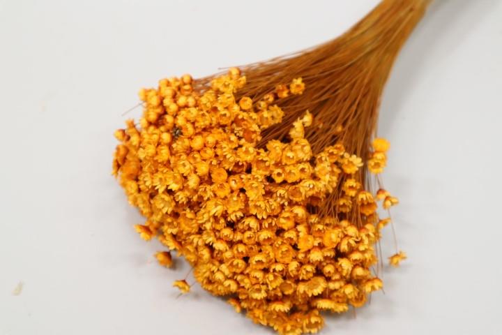 Glixia cognac11 100gr.