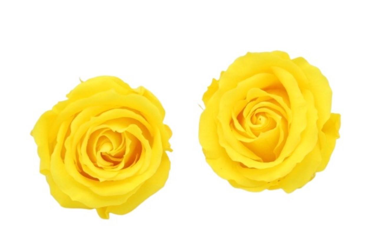 Rose stabilisiert H 5,5 cm D 5,5 cm Bright Yellow NETTO