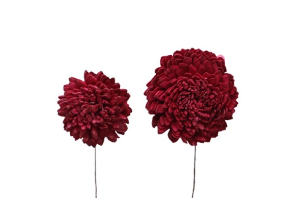 Zinie Sola am Draht 6+8cm sortiert je 24St. bordeaux