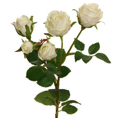 Rose x 5, 39cm creme