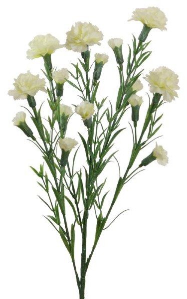 Spraynelke weiss H64cm