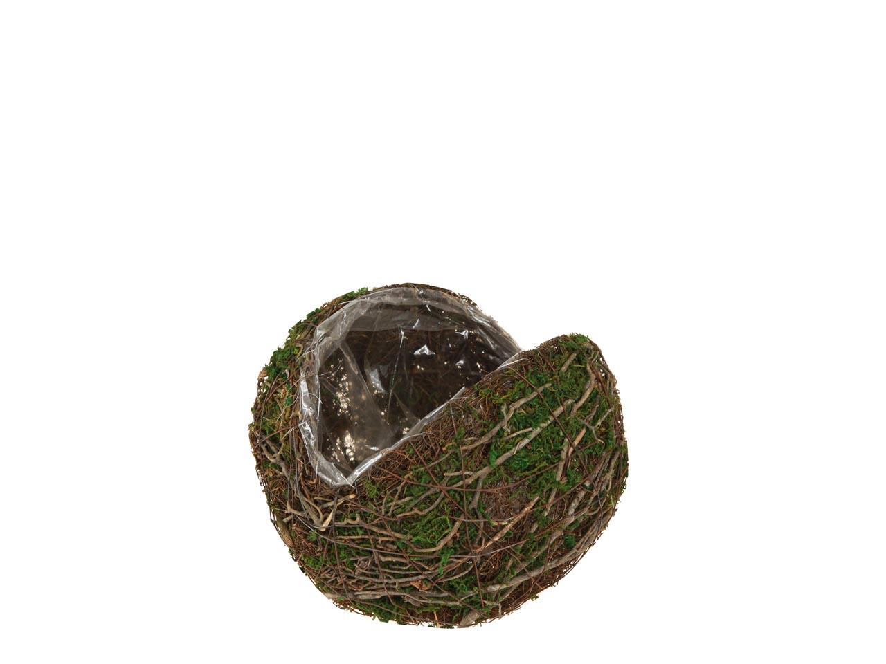 Kugel z. Pflanzen Rebe-Moos D15cm