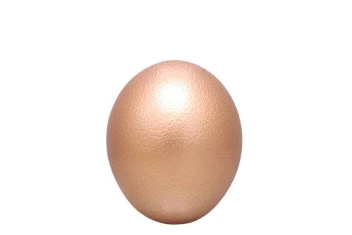 Straußenei kupfer NETTO