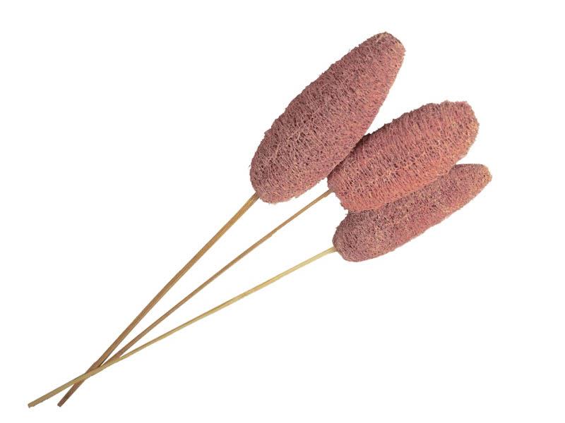 Luffa altrosa frosted gestielt 14-20cm Luffa altrosa frosted gestielt 14-20cm