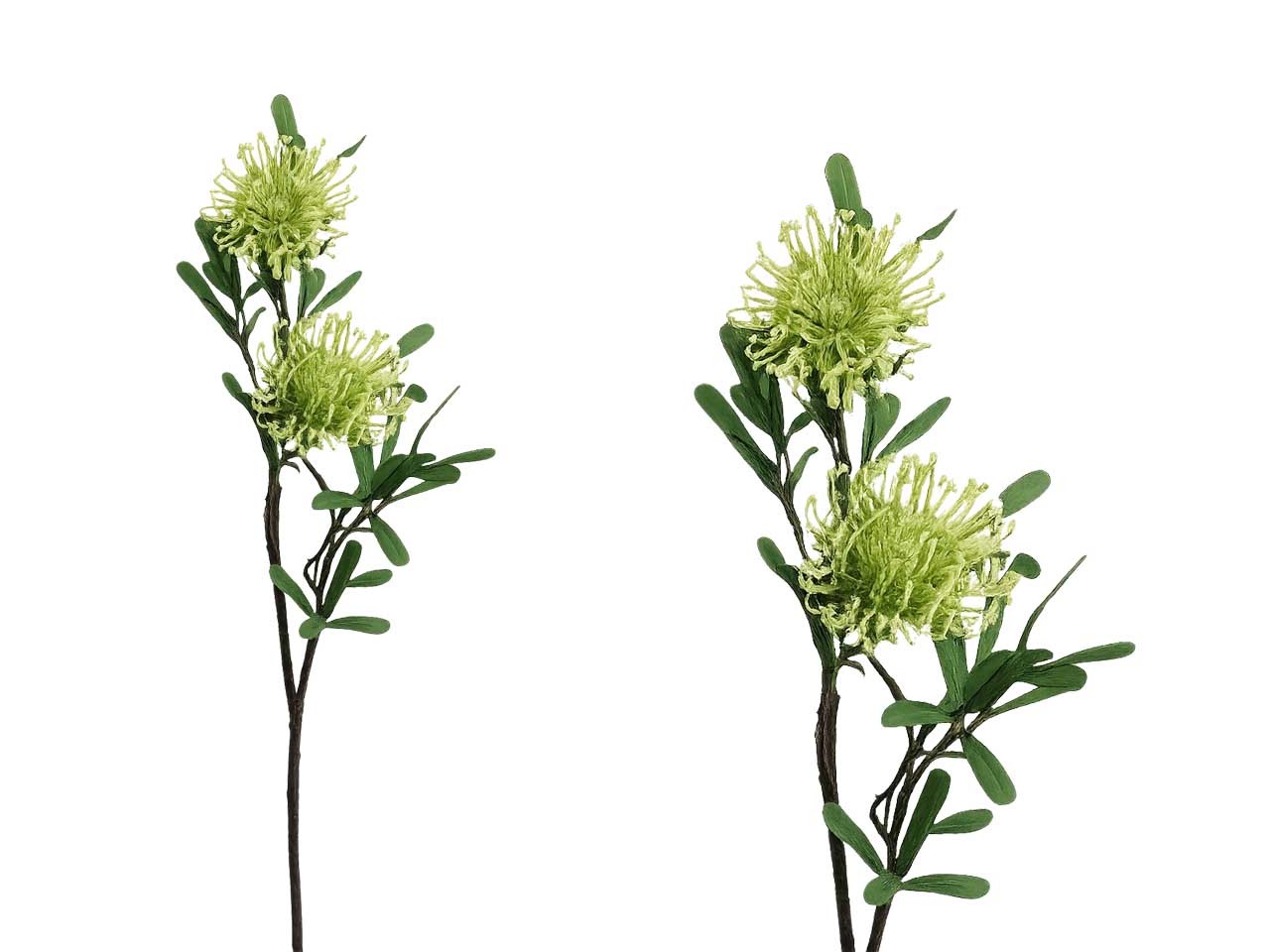 Protea Zweig 2 Blüten grün-creme L75cm