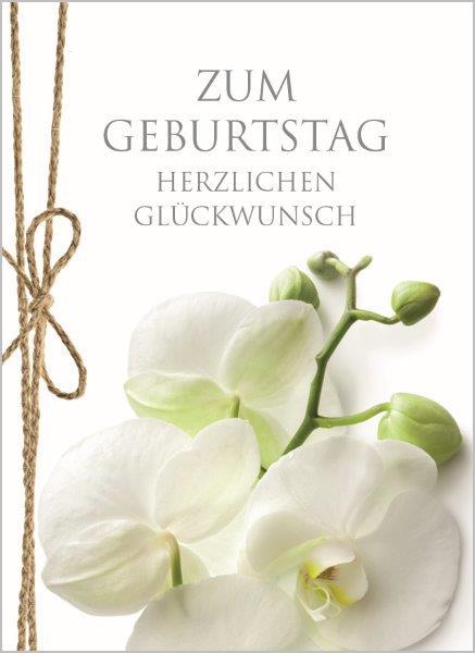 Minikarten Pure Zum Geburtstag 7,5x5 cm Minikarten Pure Zum Geburtstag 7,5x5 cm