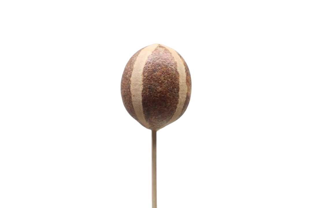 Belani-Apfel Pumpkin gestielt natur Belani-Apfel Pumpkin gestielt natur