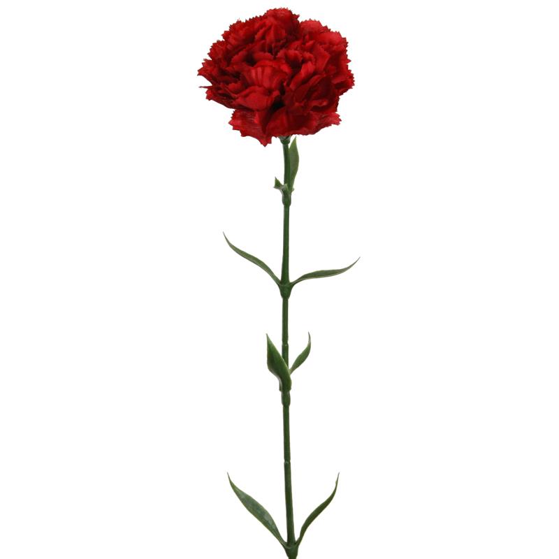 Nelke 66cm rot