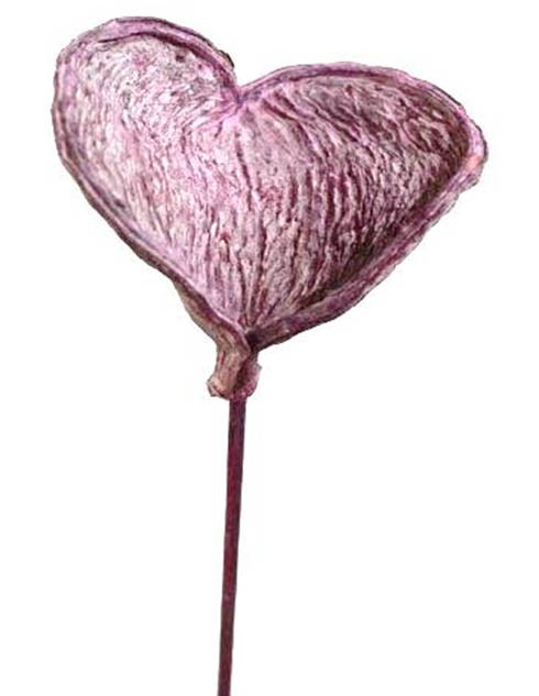Badam gestielt D8-10H7-9L40cm brombeer frosted