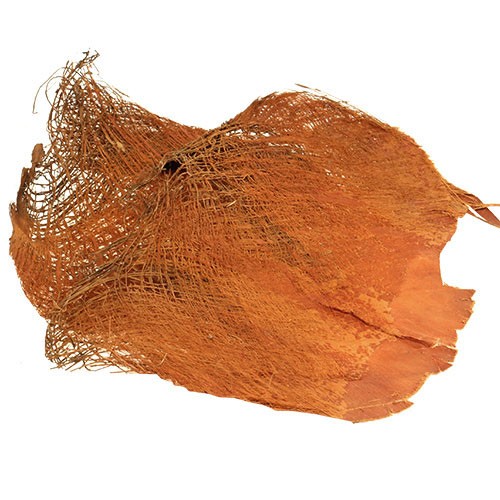 Cocosfaser Platten 1kg natur