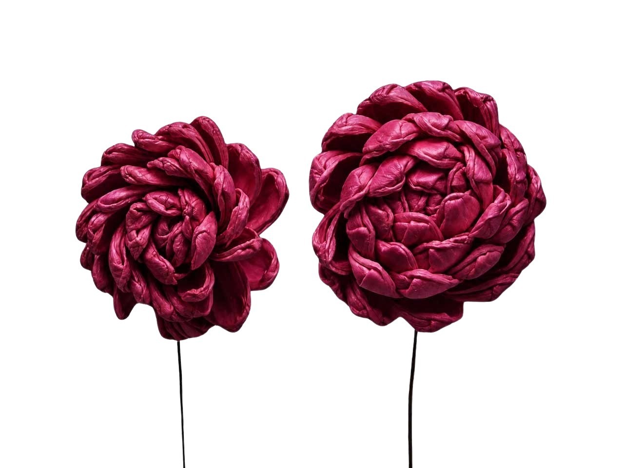 Dahlie Sola am Draht D6-8cm je 18 Stück sortiert bordeaux