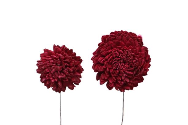 Zinie Sola am Draht 6+8cm sortiert je 24St. bordeaux
